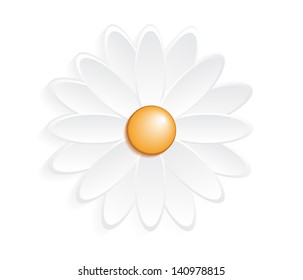 Close-up of daisy isolated against white background, eps10 vector