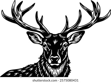 Close-up of a  deer stag in front of a white background 