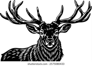 Close-up of a  deer stag in front of a white background 