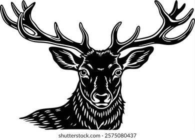 Close-up of a  deer stag in front of a white background 