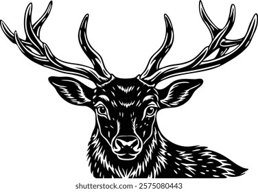 Close-up of a  deer stag in front of a white background 