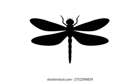 Closeup of a dragonfly insect silhouette
