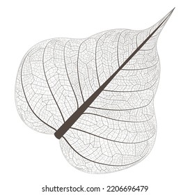 Nahaufnahme getrockneter Skelettblätter auf dunklem Hintergrund. Vektorgrafik der Struktur von trockenen Blättern Texturhintergrund. Pflanzendesign für Druck, Deckel, Plakate, Aufkleber, Wanddekor. EPS10. 