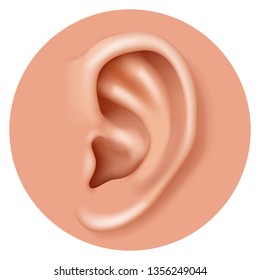 Closeup ear organ hearing human health care 3d realistic icon design vector illustration