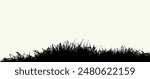Closeup eco fall reed scenic view white sky text space. Hand drawn old spring season old big swamp marsh grow cane shrub stem flower icon sign line design set scene retro cartoon art print style frame