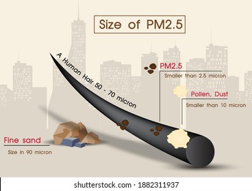 Closeup and example human hair compare with size of pollen, fine sand and PM2.5 on landscape city view background. Poster of infographic about PM2.5 toxic dust in vector design.