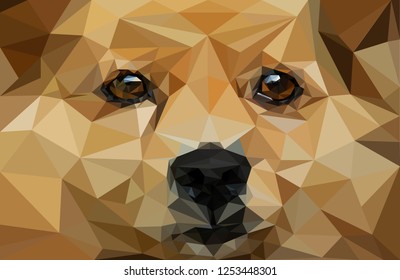 Close-up Face of a Dog Cute Low Poly Vector EPS 10