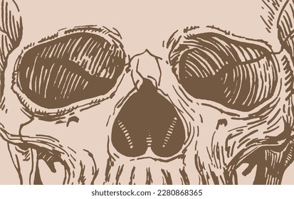 Close-up face of skull, vintage abstract illustration, paleontology