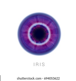 Closeup of fantasy purple and red eyeball on white background. The eye of Omniscience.