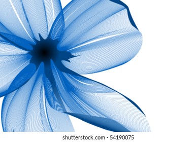 Close-up flower background
