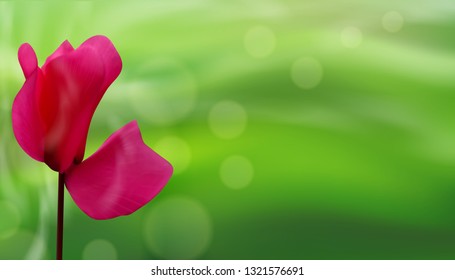 Closeup of flower on bokeh green natural background. Beautiful template for banners or cards design. Vector illustration.