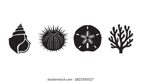 Close-up of four different coral and sea shells, showcasing their unique textures and shapes, representing marine biodiversity and oceanic ecosystems.