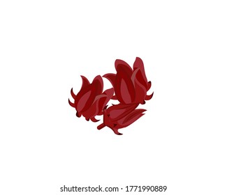 Closeup fresh Roselle flower ( Jamaica sorrel, Rozelle or hibiscus sabdariffa ) isolated on white background. Icon vector illustration.