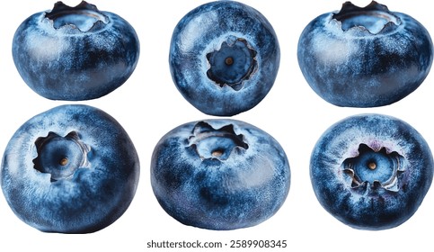 A close-up of a freshly  blueberry