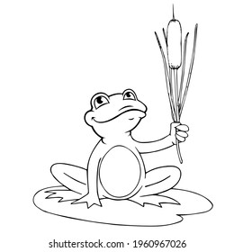 Nahaufnahme eines Frosches auf weißem Hintergrund. Zeichnung, Vektorgrafik.