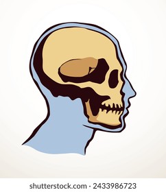 Closeup front view old natur craniu noggin hole part spine care scan x ray life death logo set Hand drawn line xray dead spinal column injury ill pain exam vintage abstract outline art cartoon concept