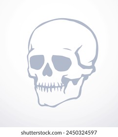 Closeup front view old natur craniu noggin hole part spine care scan x ray life death logo set Hand drawn line xray dead spinal column injury ill pain exam vintage abstract outline art cartoon concept