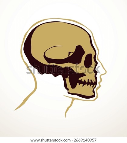 Closeup front view old natur craniu noggin hole part spine care scan x ray life death logo set Hand drawn line xray dead spinal column injury ill pain exam vintage abstract outline art cartoon concept