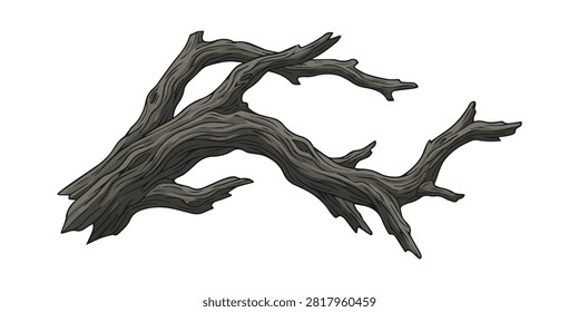 Close-up of a gnarled, dry tree branch with twisting twigs, ideal for nature themes, environmental projects, or rustic backgrounds.