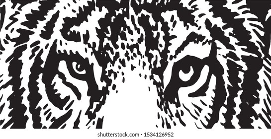 Close-up graphical sketch of tiger's eyes, vector illustration for your design