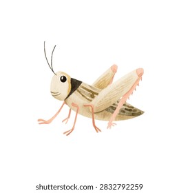 Closeup of a grasshopper insect body