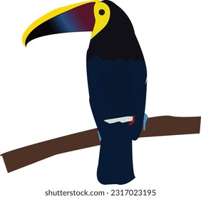 Closeup The Great Hornbill on white backgroundRealistic exotic tropical toucan bird. Adorable wild animal in the jungle. Isolated vector illustration in cartoon style