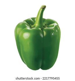 Closeup green bell pepper on a white background with copy space.