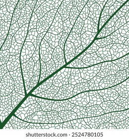 Textura de folha verde em close-up com detalhes intrincados de veias foliares apresentando naturezas texturas e padrões botânicos