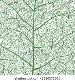 Textura de folha verde em close-up com detalhes intrincados de veias foliares apresentando naturezas texturas e padrões botânicos