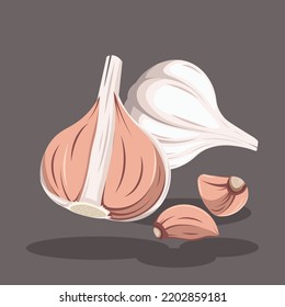 Close-up Half and Whole White Garlic Vector Illustration | Garlic in Different Angles | Flat Design Isolated | Kitchen Cooking Ingredients |Flavour Aroma Ingredient | Vegetable Illustration