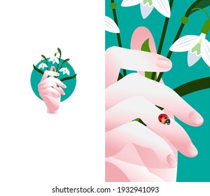 Close-up of a hand and fingers with a ladybug crawling over it and about to take off. A hand with bunch of snowdrops and ladybug.
Vector flower illustration. Floral spring poster