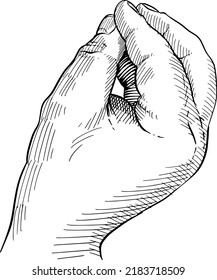 Close-up Of Hand Gesture With Pinched Fingers: What Do You Want ?, Concept Of So Much, Italian Gesture. Black And White Vector Illustration.