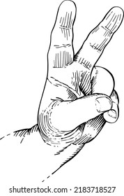 Close-up of hand with two fingers in v, sign of victory, peace. Hand language. Black and white vector illustration, handheld view.
