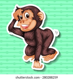 Closeup happy monkey on green background