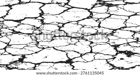A close-up, high-contrast black and white abstract pattern of cracked earth or dry mud.