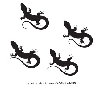 Closeup house lizard silhouette isolated on white background. Vector illustration, Silhouettes of a Gecko, simple stylized silhouettes of geckos in a neutral brown and black tone against.