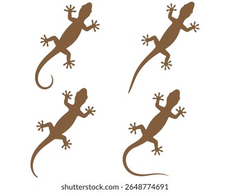 Closeup house lizard silhouette isolated on white background. Vector illustration, Silhouettes of a Gecko, simple stylized silhouettes of geckos in a neutral brown and black tone against.