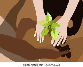 Close-up of a human hand holding a seedling, including planting seedlings. The concept of garden and vegetable garden. Growing vegetables.