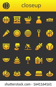 closeup icon set. 26 filled closeup icons. Included Basketball, Watermelon, Custard, Sugar, Position, Carrot, Ball, Bottle opener, Diaper, Fern, Cutting board, Bitterballen icons