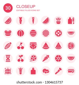 closeup icon set. Collection of 30 filled closeup icons included Watermelon, Carrot, Fern, Frog, Ball, Peas, Cherry, Diaper, Sandclock, Football, Cutting board, Balls