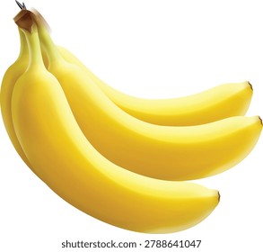 A close-up illustration of a bunch of three ripe yellow bananas, presented clearly on a white background.Bunch of Ripe Yellow Bananas Isolated on White Background