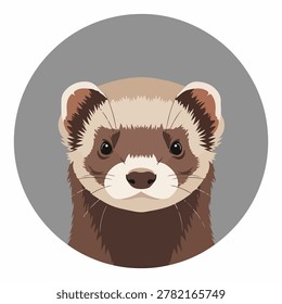 A close-up illustration of a ferrets face, centered within a gray circle.