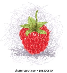 closeup illustration of a fresh raspberry fruit.