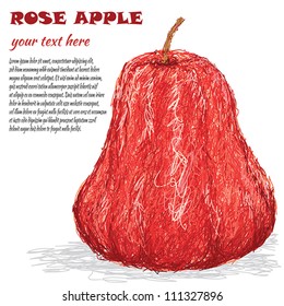 closeup illustration of fresh rose apple fruit isolated in white background.