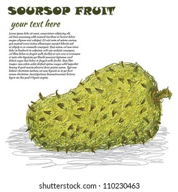 closeup illustration of a fresh soursop fruit isolated in white background.