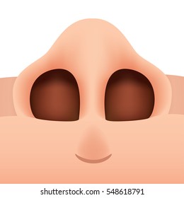 Close-up illustration of a human nose seen from below. Ideal for biology and anatomy materials