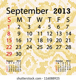 closeup illustration of a patterned albino snake skin background for september 2013 calendar.