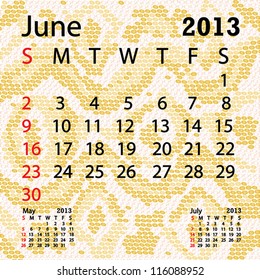 closeup illustration of a patterned albino snake skin background for june 2013 calendar.