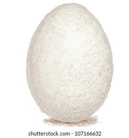 closeup illustration of a raw white chicken egg isolated.