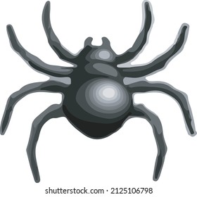 close-up illustration of spiders perching